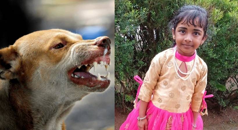 മലപ്പുറം പെരുവള്ളൂരിൽ തെരുവുനായയുടെ കടിയേറ്റ ശേഷം പ്രതിരോധ വാക്സിൻ എടുത്തിട്ടും പേവിഷബാധ ഉണ്ടായ കുട്ടി മരിച്ചു
