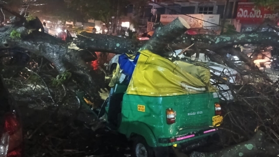 ബെംഗളൂരുവിൽ കനത്ത മഴ; ഓട്ടോറിക്ഷയ്ക്ക് മുകളിൽ മരം വീണ് ഡ്രൈവർ മരിച്ചു