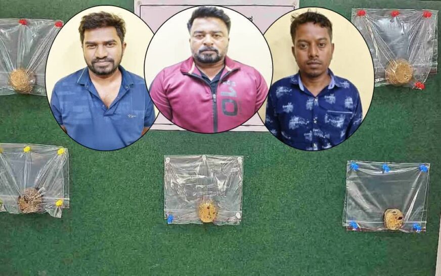 കാനറ ബാങ്കിൻ്റെ ലോക്കറില്‍ നിന്ന് 53.26 കോടി രൂപയുടെ സ്വര്‍ണ്ണവും പണവും കൊള്ളയടിച്ചു; മാനേജരടക്കം 3 പേര്‍ അറസ്റ്റില്‍