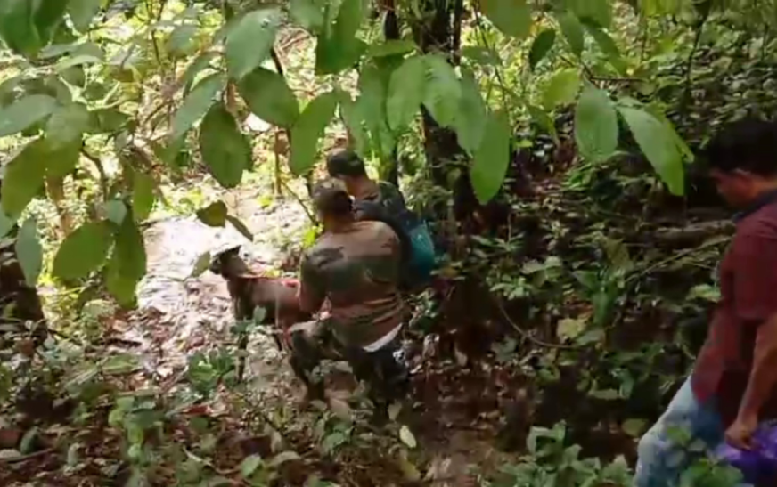 ധർമ്മസ്ഥലയിൽ നിന്ന് കിട്ടിയ അസ്ഥികൾ വിശദ പരിശോധനയ്ക്ക് അയയ്ക്കും