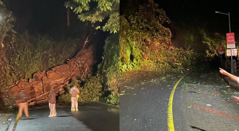 താമരശ്ശേരി ചുരത്തില്‍ നിയന്ത്രണം നീക്കി, വലിയ വാഹനങ്ങൾ കടത്തിവിടും