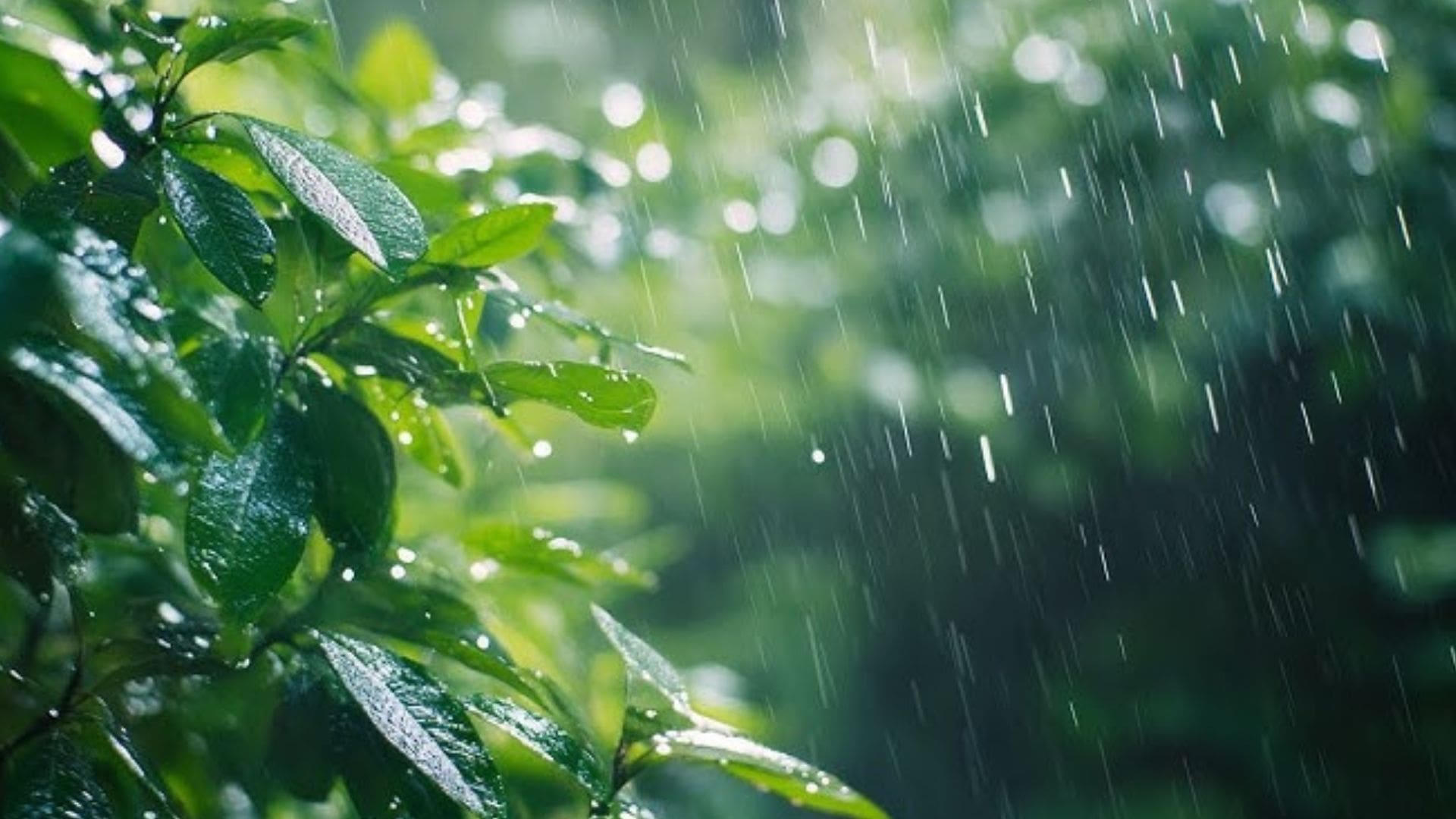കേരളത്തിൽ ഇന്നും ഒറ്റപ്പെട്ട ശക്തമായ മഴ തുടരും: കേന്ദ്ര കാലാവസ്ഥാ വകുപ്പ്