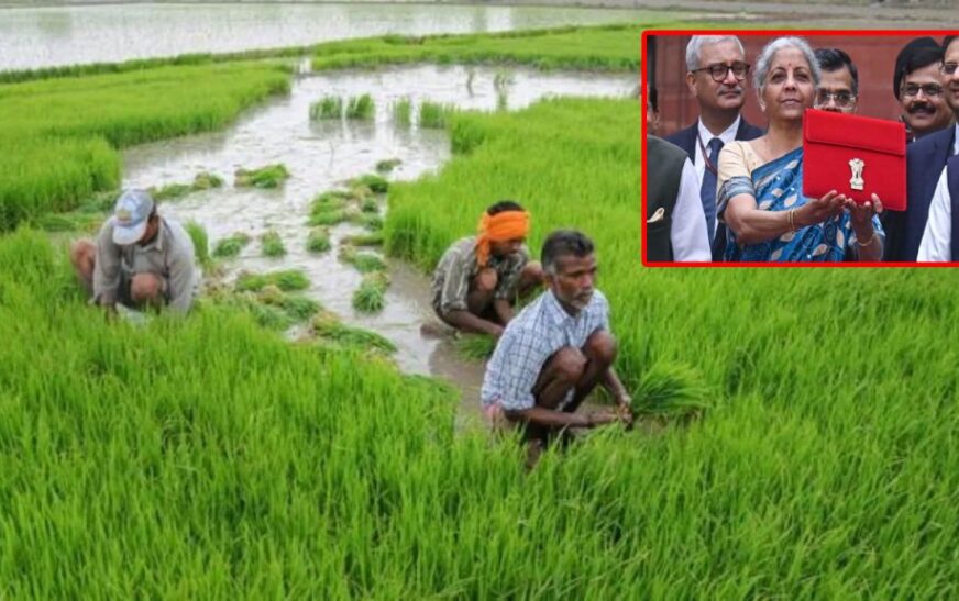 ഭാ​ര​ത് വി​സ്താ​ർ സ്ഥാ​പി​ക്കും; ബ​ജ​റ്റി​ൽ ക​ര്‍​ഷ​ക​ര്‍​ക്കാ​യി വ​മ്പൻ പ്ര​ഖ്യാ​പ​നങ്ങൾ