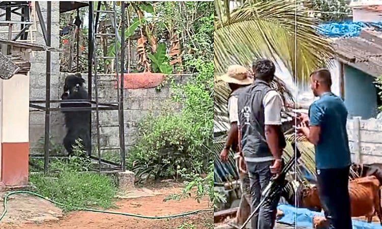 ശിവമോഗ വിമാനത്താവള പരിസരത്തുനിന്ന് കരടിയെ പിടികൂടി