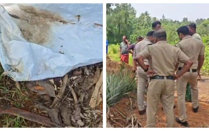 കോതമംഗലത്ത് രണ്ടാഴ്ച പഴക്കമുള്ള മൃതദേഹം കണ്ടെത്തി