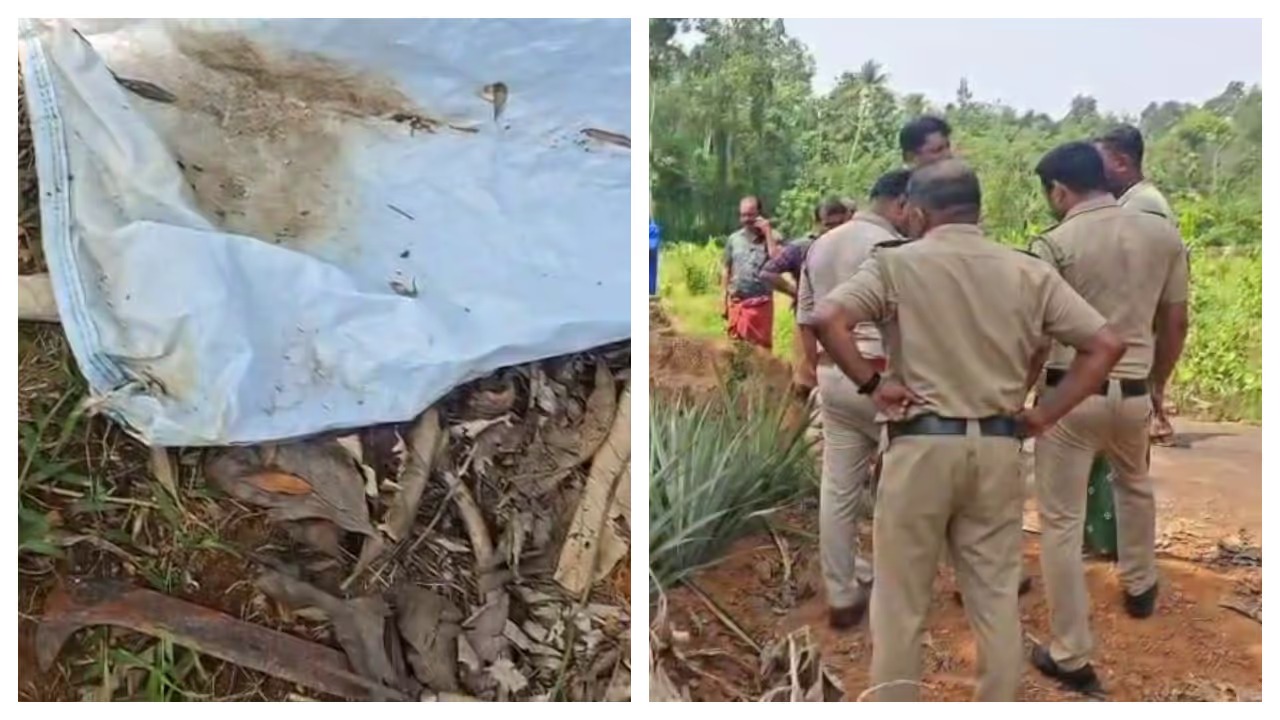 കോതമംഗലത്ത് രണ്ടാഴ്ച പഴക്കമുള്ള മൃതദേഹം കണ്ടെത്തി