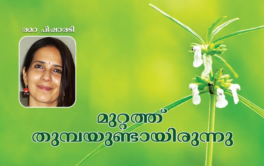 മുറ്റത്ത് തുമ്പയുണ്ടായിരുന്നു…